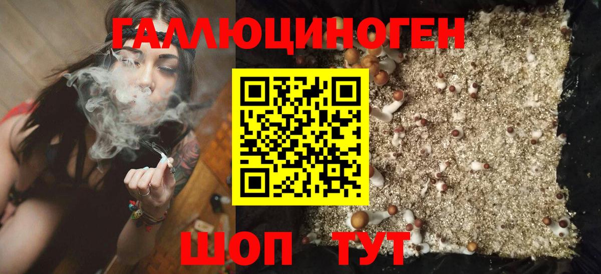 Галлюциногенные грибы мухоморы  Галлюциногенные грибы прущие грибы  Вход с VPN  Сегежа 